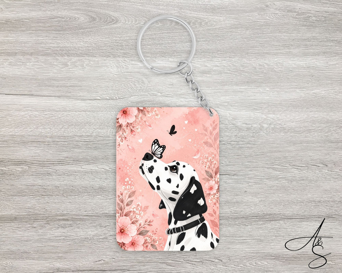 Dalmatien & papillons