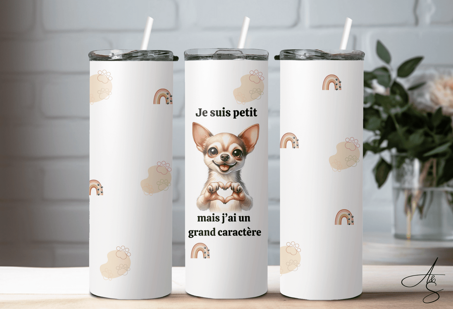 Chihuahua