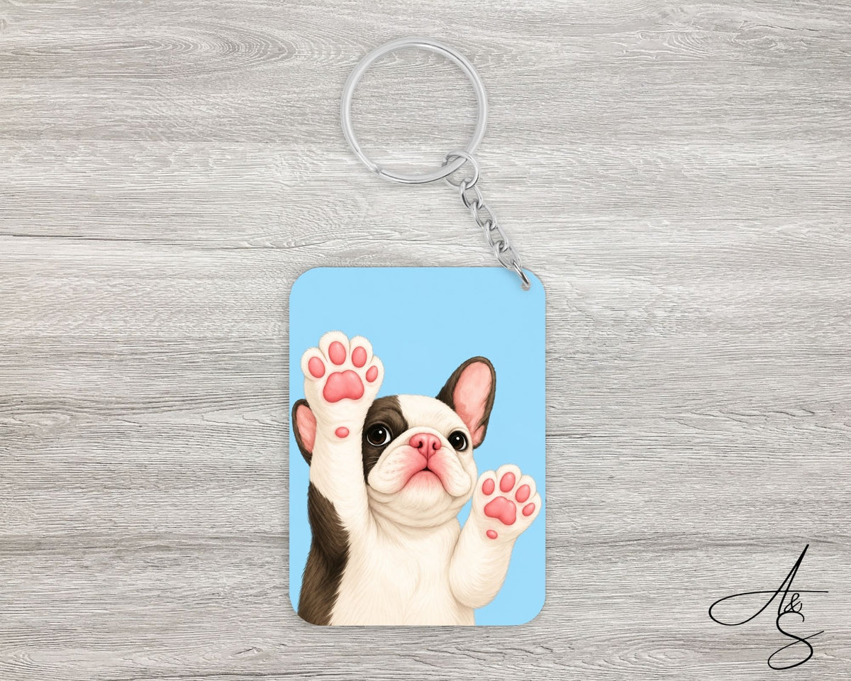 Boston Terrier