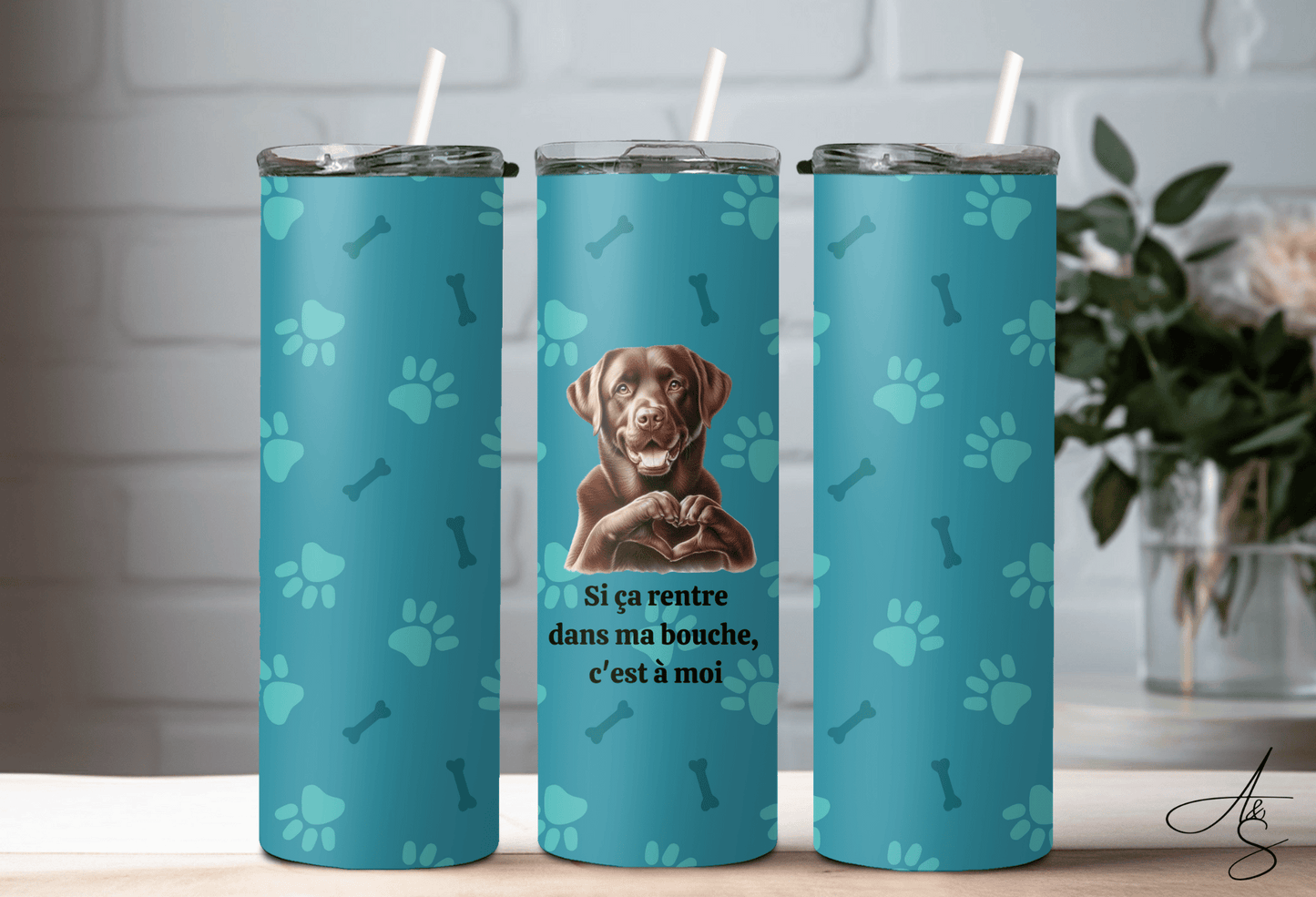 Labrador