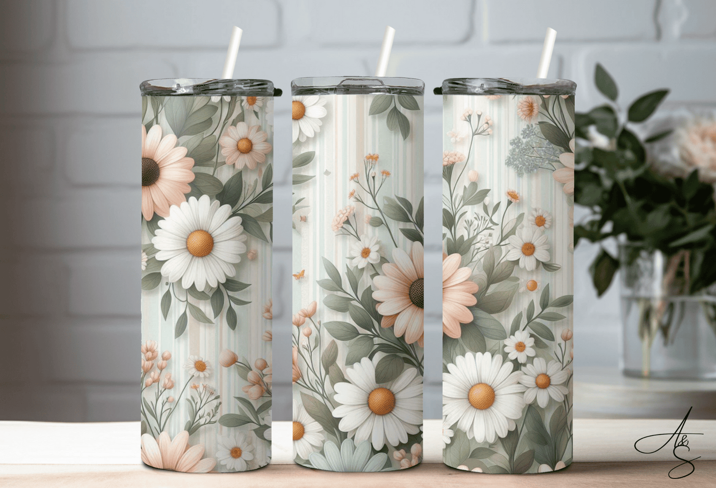 Marguerite blanche & rose