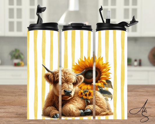 Highland tournesols