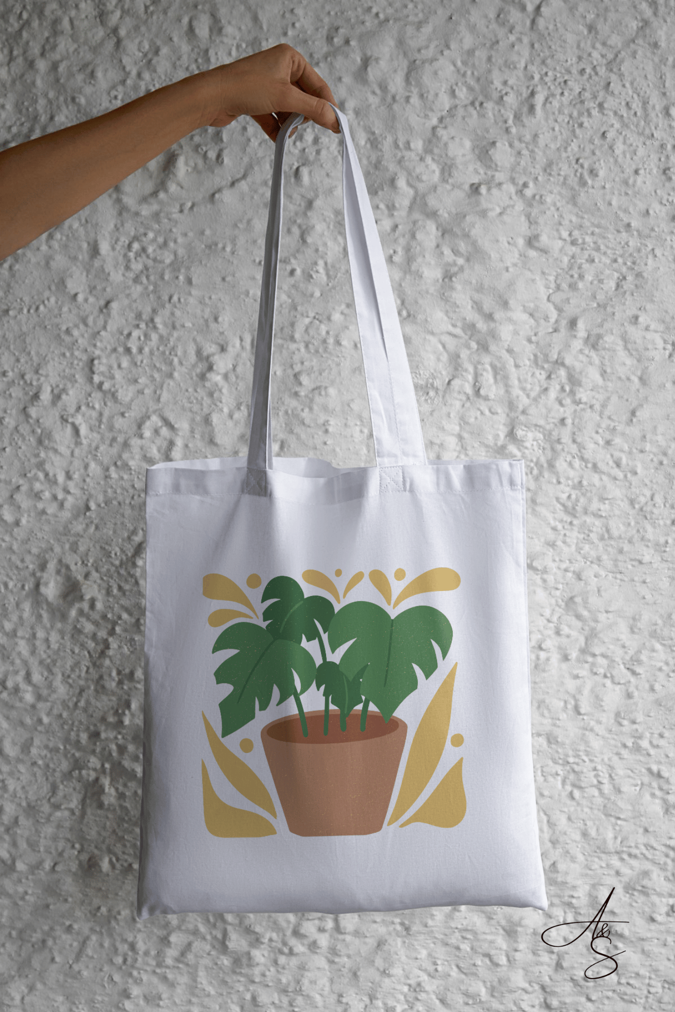 Plante