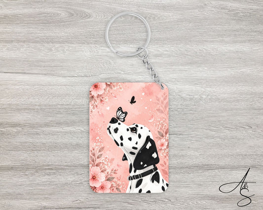 Dalmatien & papillons