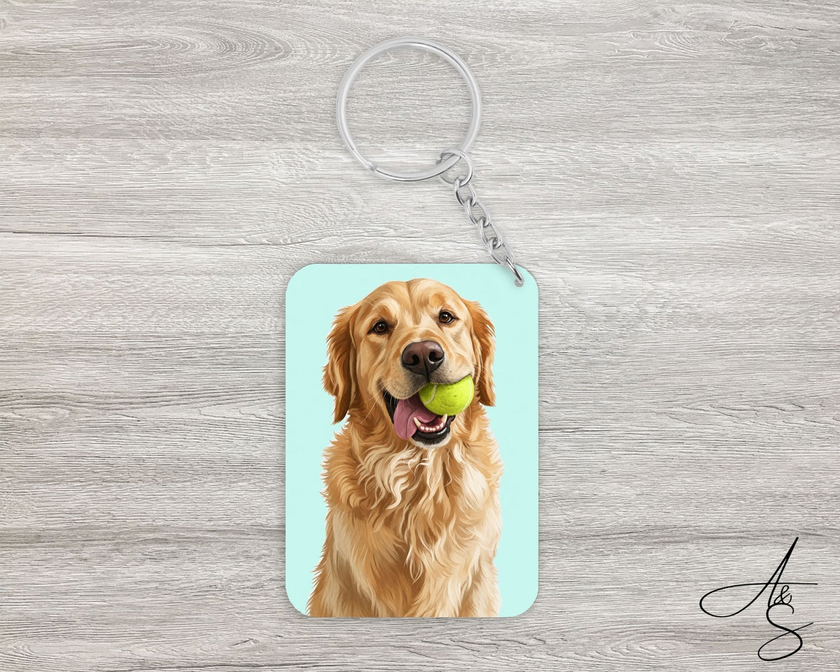 Labrador blond