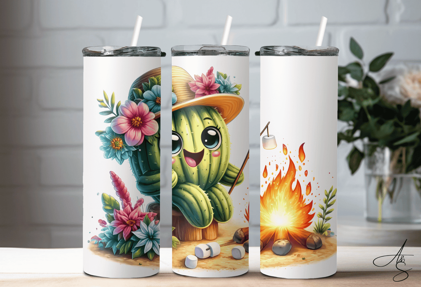 Cactus & feu de camps