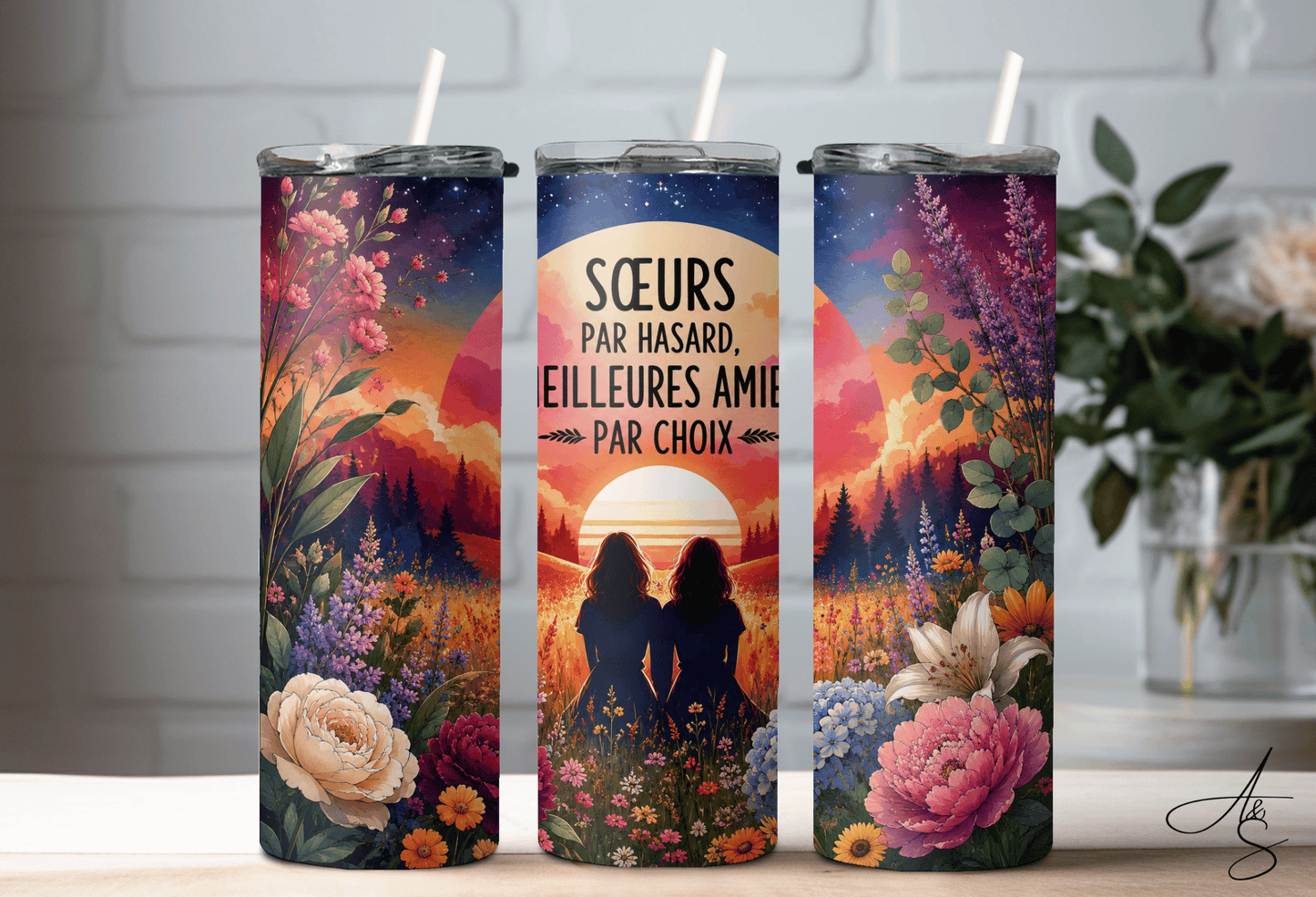 Sœurs par hasard, meilleures amies par choix
