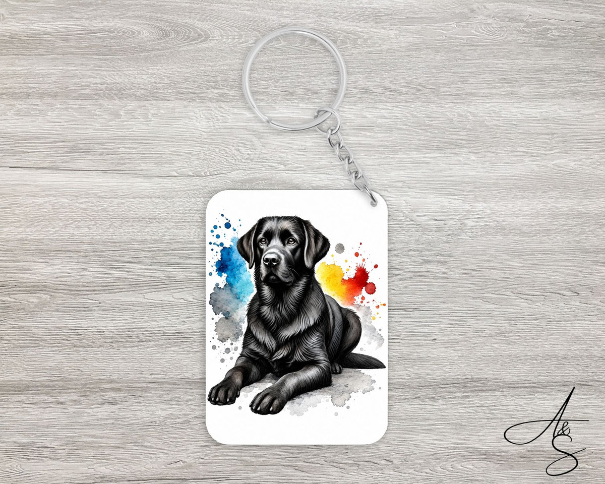 Labrador noir