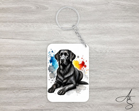 Labrador noir