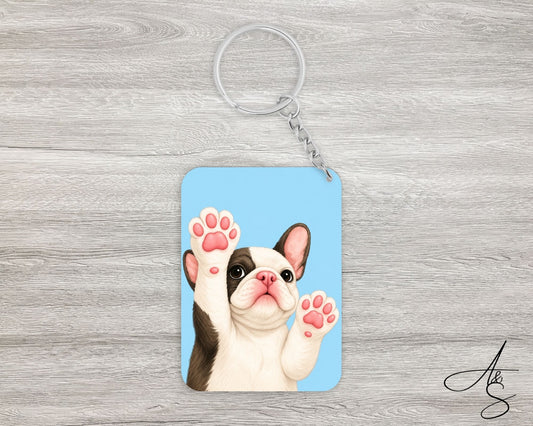 Boston Terrier