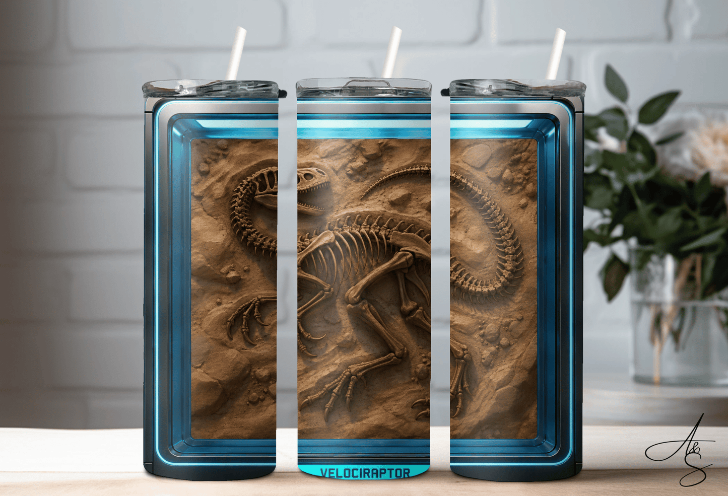 Fossile velociraptor