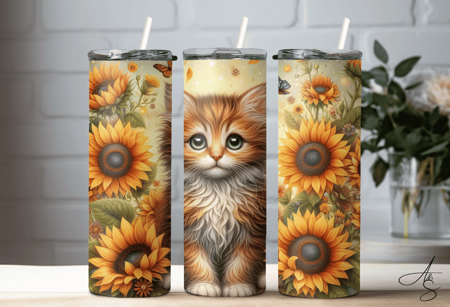 Chaton roux