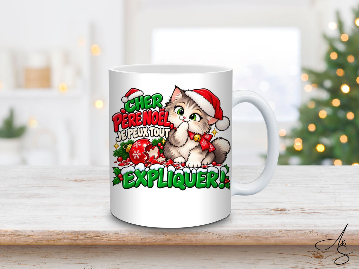 Cher Père Noël, je peux tout expliquer !